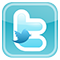 Кнопка Twitter